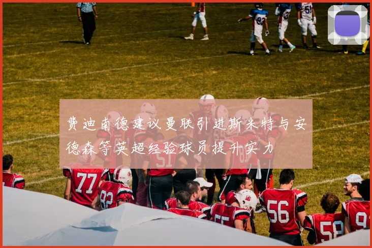 费迪南德建议曼联引进斯米特与安德森等英超经验球员提升实力